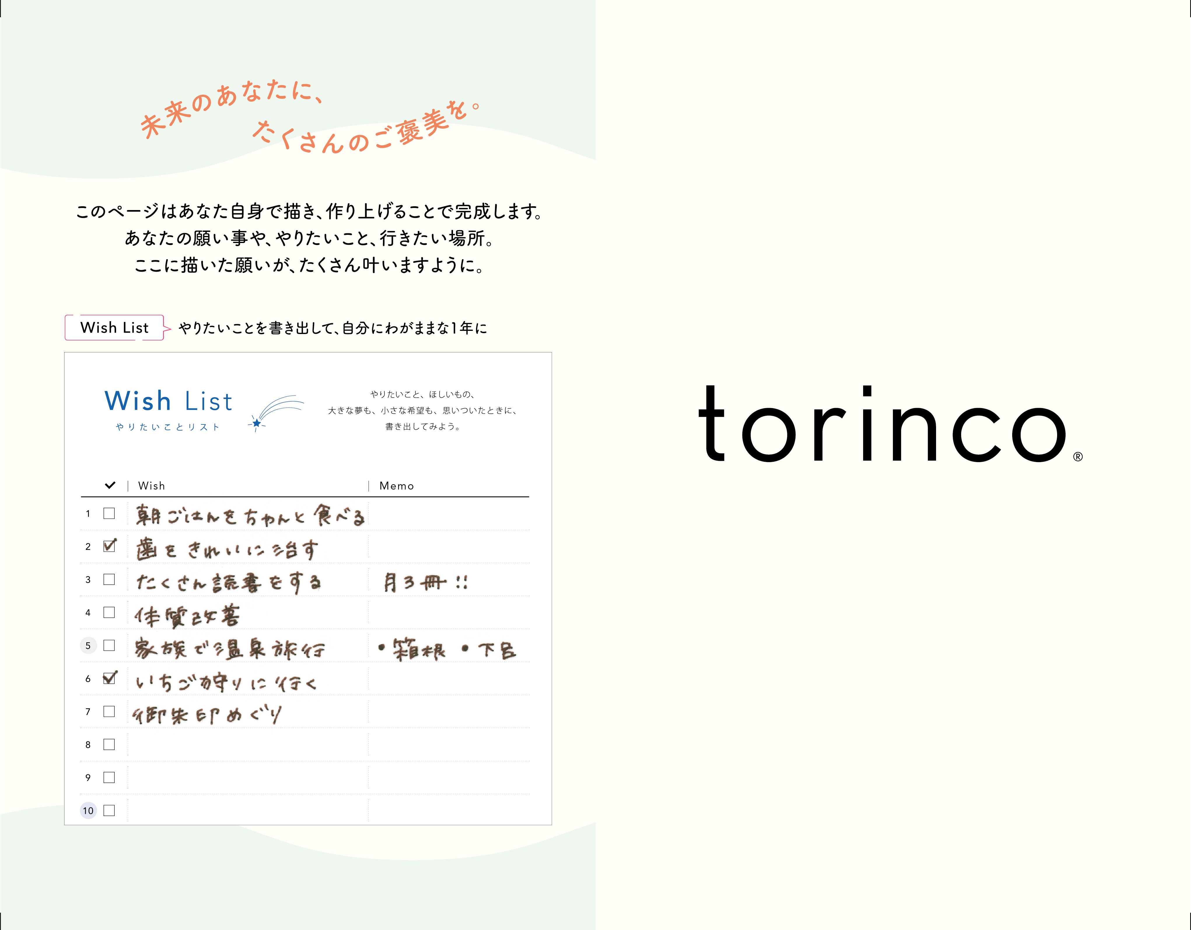 torinco 5